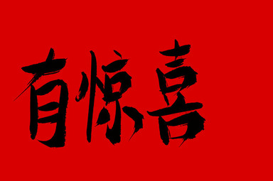 如果我的知识产权被侵犯了，我该怎么办？