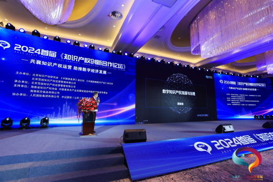 202CQ9电子4首届知识产权创新合作论坛在海口市隆重召开取得圆满成功(图8)