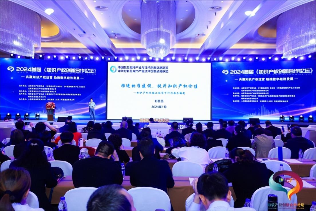 202CQ9电子4首届知识产权创新合作论坛在海口市隆重召开取得圆满成功(图11)